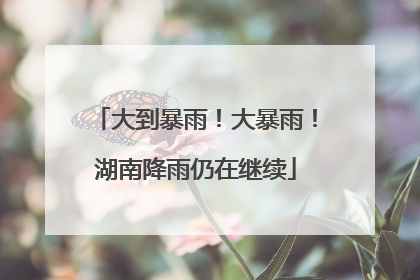 大到暴雨！大暴雨！湖南降雨仍在继续